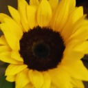 puto-el-que-lolea avatar