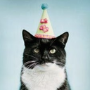 putonyourpartyhat avatar