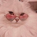 putos-todosxd avatar