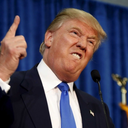 puttingcursesondonaldjtrump avatar