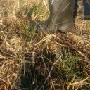 puzzel-stukje avatar