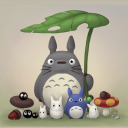 puzzles-are-fun avatar