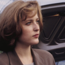 pvshingxdaisies avatar