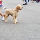 pxwerpxlitics avatar