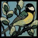 pygmynuthatch avatar