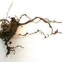 pyramidhead94 avatar