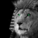 pyramidzkingdom avatar