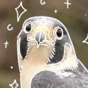 pyro-peregrinning avatar