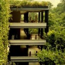 pyrokineticfeathers avatar