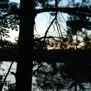 pyromaniacalz avatar