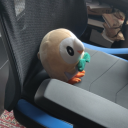 pythagorhiann avatar