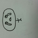 qooqleofficial-blog avatar