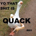 quackandcheese avatar