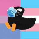 quackinus-ducks avatar