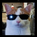 quackquackrhian avatar