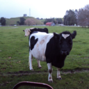 quadruplespace avatar