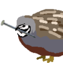 quail-with-a-nail avatar