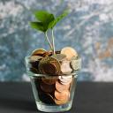 quaintandcuriouspuppet avatar