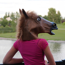 qualityhorse-blog avatar