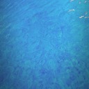 qualityinfluencerthing avatar