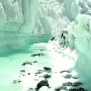 qualityreactions avatar