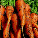 qualityrecipes avatar