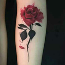 quanta-audacia avatar