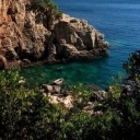 quantico-alexparrish avatar