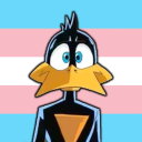 quantum-quack avatar