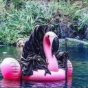 quarantinethenews avatar