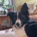 quartz-aranite avatar