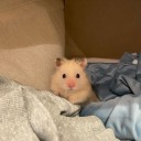 quasaresmeralda avatar