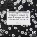 quattroannitroppopiccola avatar