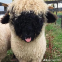 queasybastard avatar