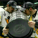 quebecois-boi avatar