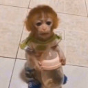 queeen-of-suburbia avatar