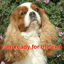 queefersutherland89 avatar