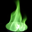 queen--of--maggots avatar