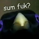 queen-diamond-writer avatar