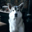 queen-in-the-n0rth avatar