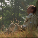 queen-of-the-multiverse avatar