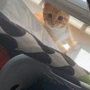 queen-of-the-storm avatar