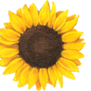 queen-uploads-blog avatar