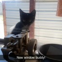 queenbolete666 avatar