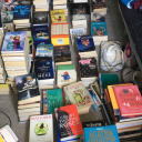 queenie-kowalski avatar