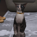 queeniecookreblogs avatar