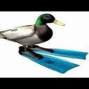 queenlyregent avatar