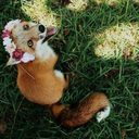 queenmarytata avatar