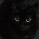 queenmiriamele avatar