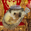 queenmobs avatar
